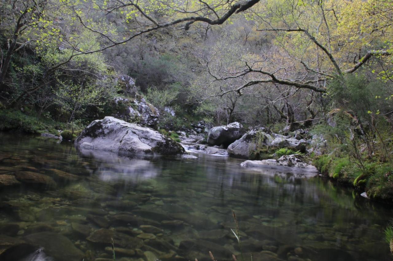 Casa Charo Prexigueiro Daire Ribadavia Dış mekan fotoğraf